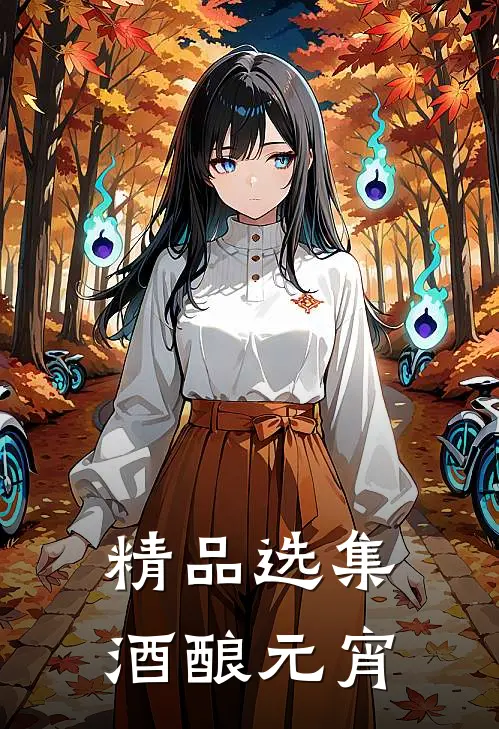 精品选集酒酿元宵